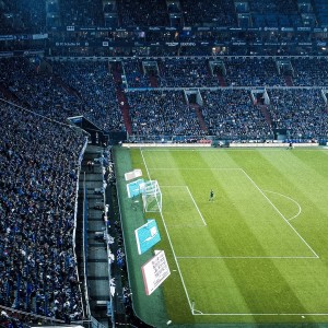 九游平台官网-落败中的希望：败者也有赢的理由！，落败的唯美完美解释