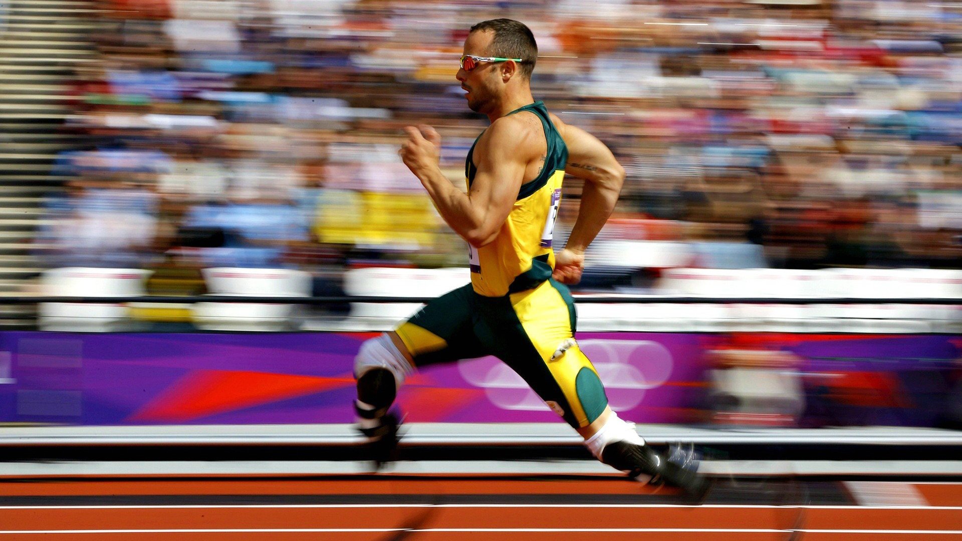 【数据解读】赛季关键指标变化及其影响,赛季制度