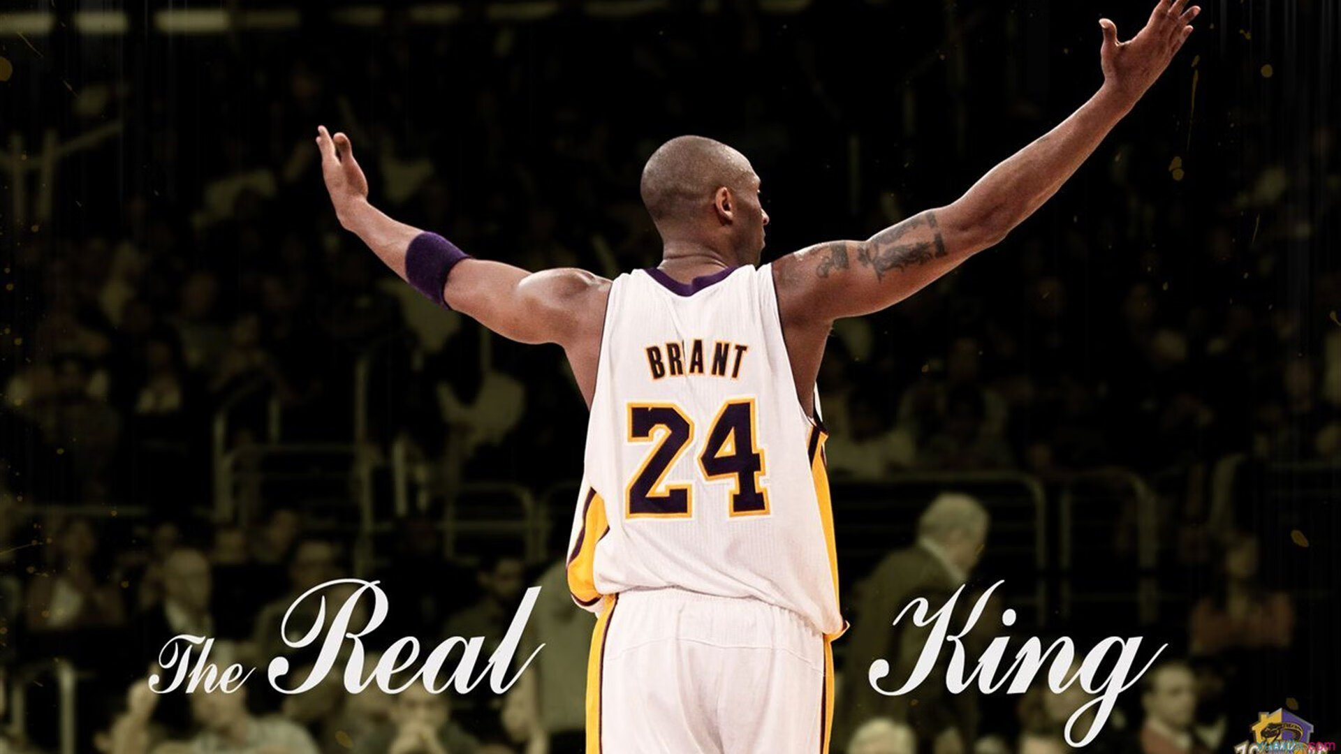 世界冠军再续辉煌，斯诺克比赛中的幕后精彩瞬间，斯诺克世界冠军是谁